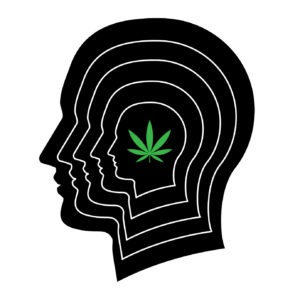 A graphic of marijuana in the brain.